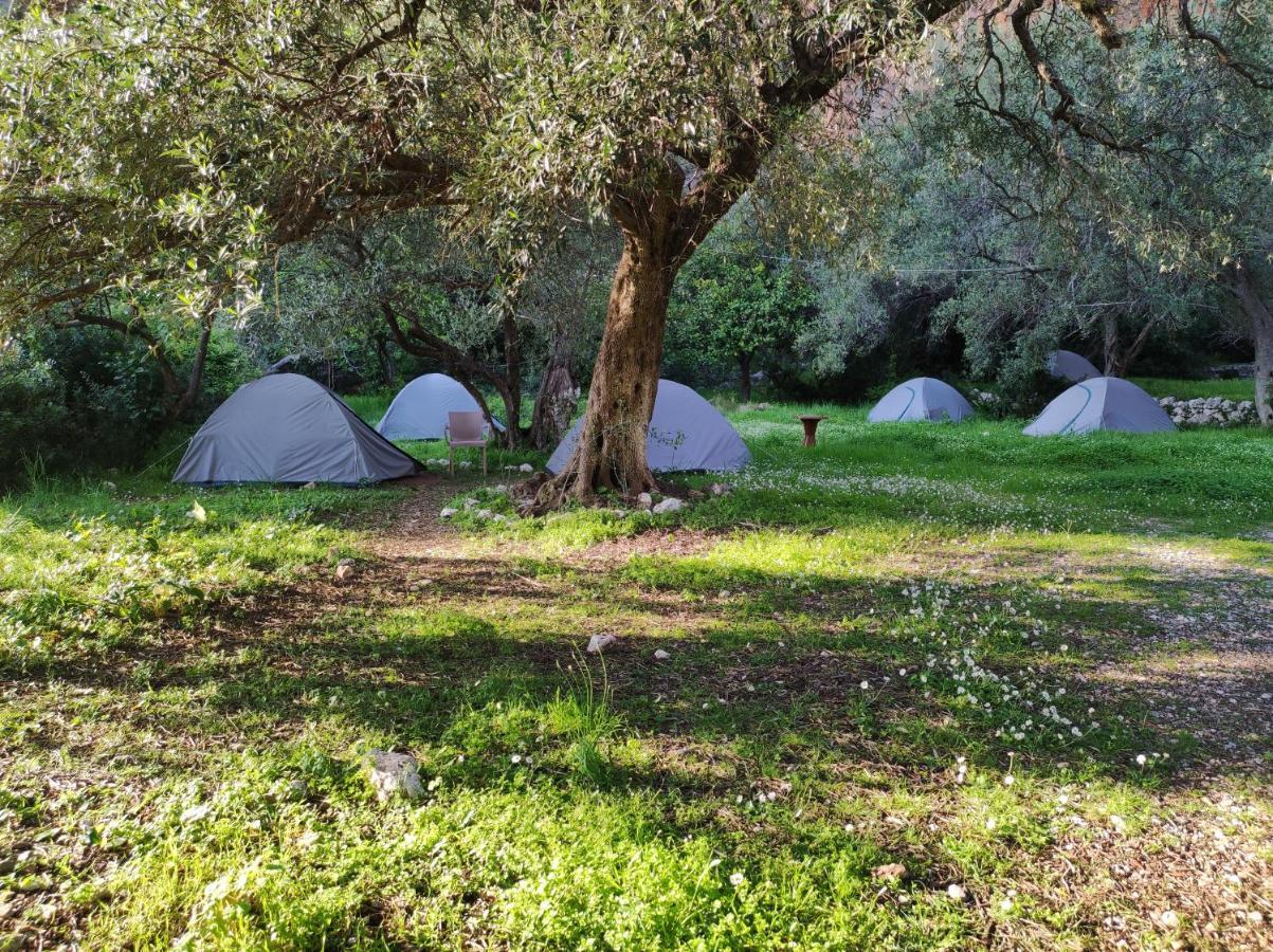 Gjipe Eco Campground Vuno Exterior foto
